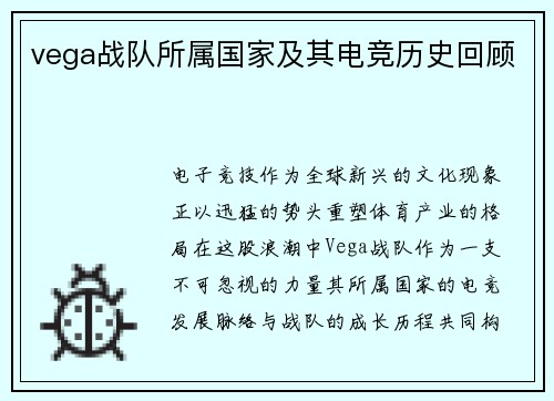 vega战队所属国家及其电竞历史回顾